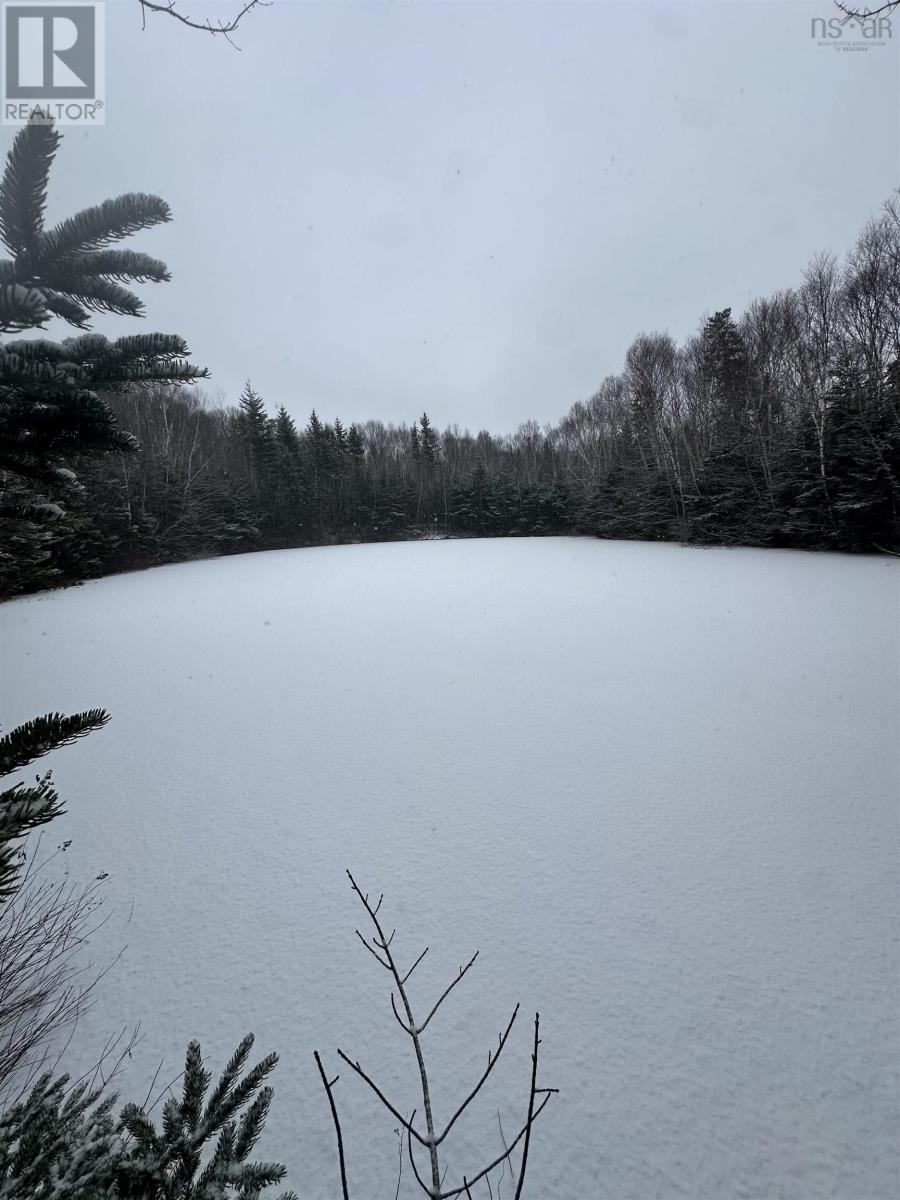 1478 Old Route 5, Big Bras D'or, Nova Scotia B1X 1C1 - Photo 14 - 202529470