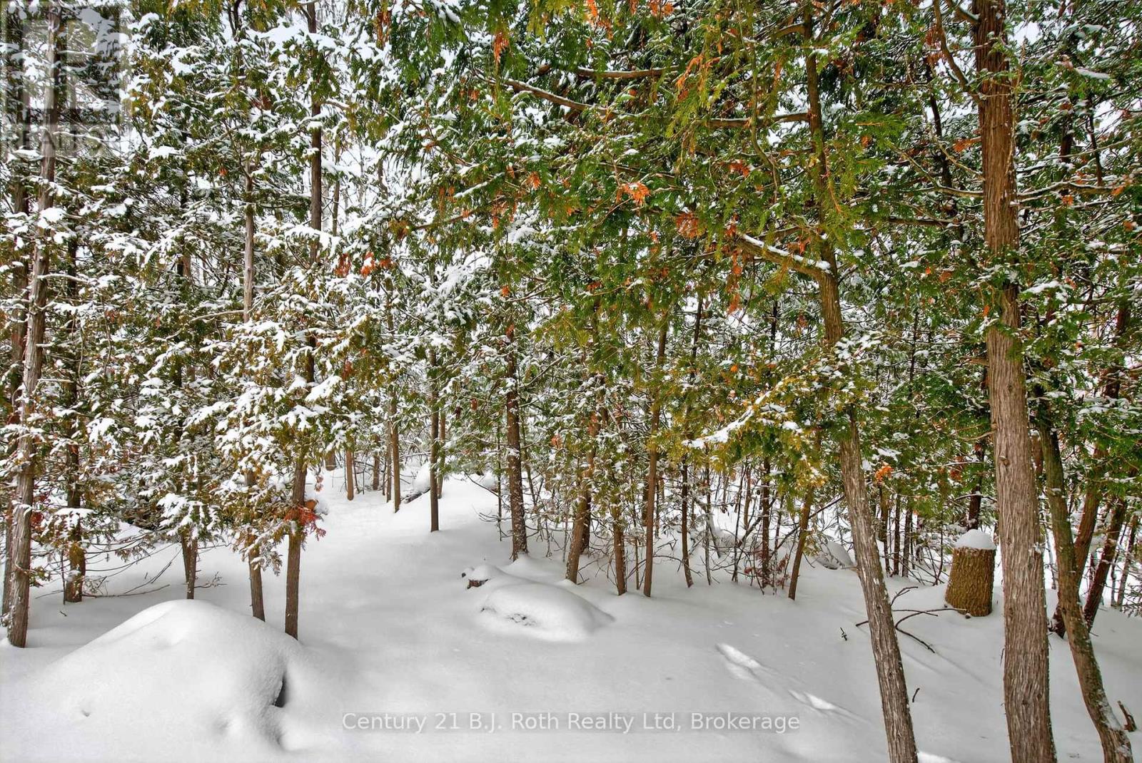 77 Georgia's Walk, Tay, Ontario L0K 2A0 - Photo 30 - S12635172