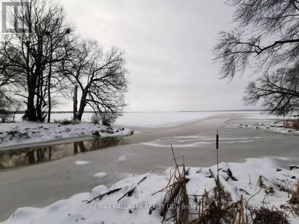 #2 - 19 Shoreline Place, Georgina (Keswick North), Ontario  L4P 1L3 - Photo 15 - N12635154