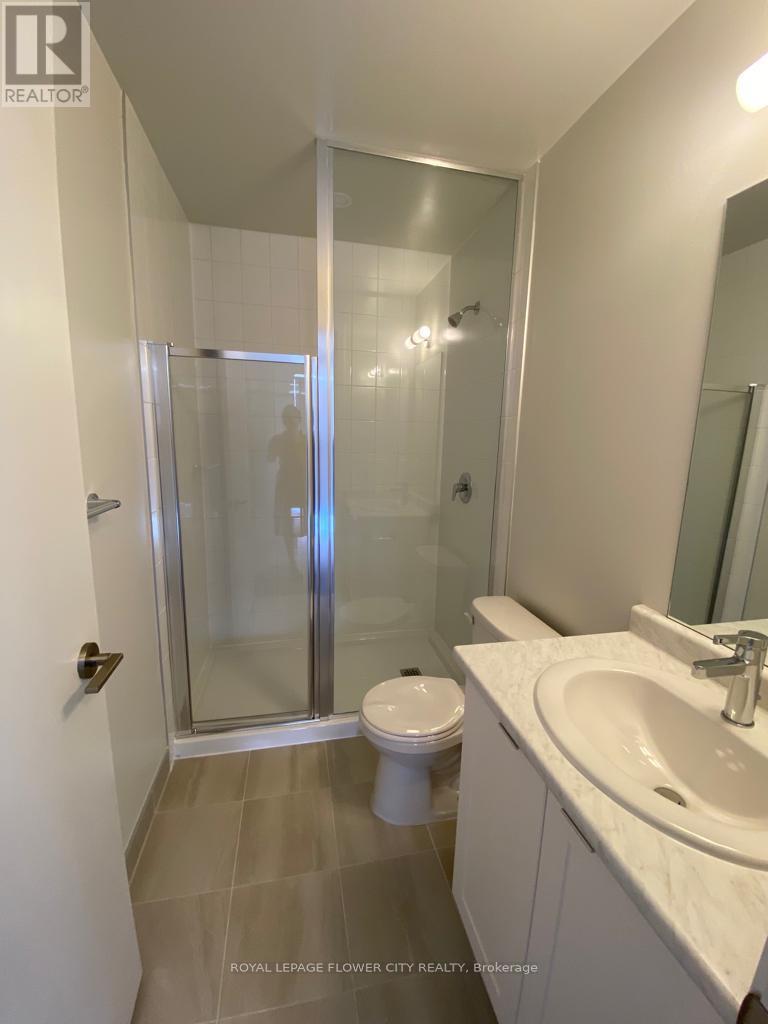 113 - 58 Sky Harbour Drive, Brampton, Ontario  L6Y 6J1 - Photo 25 - W12470337