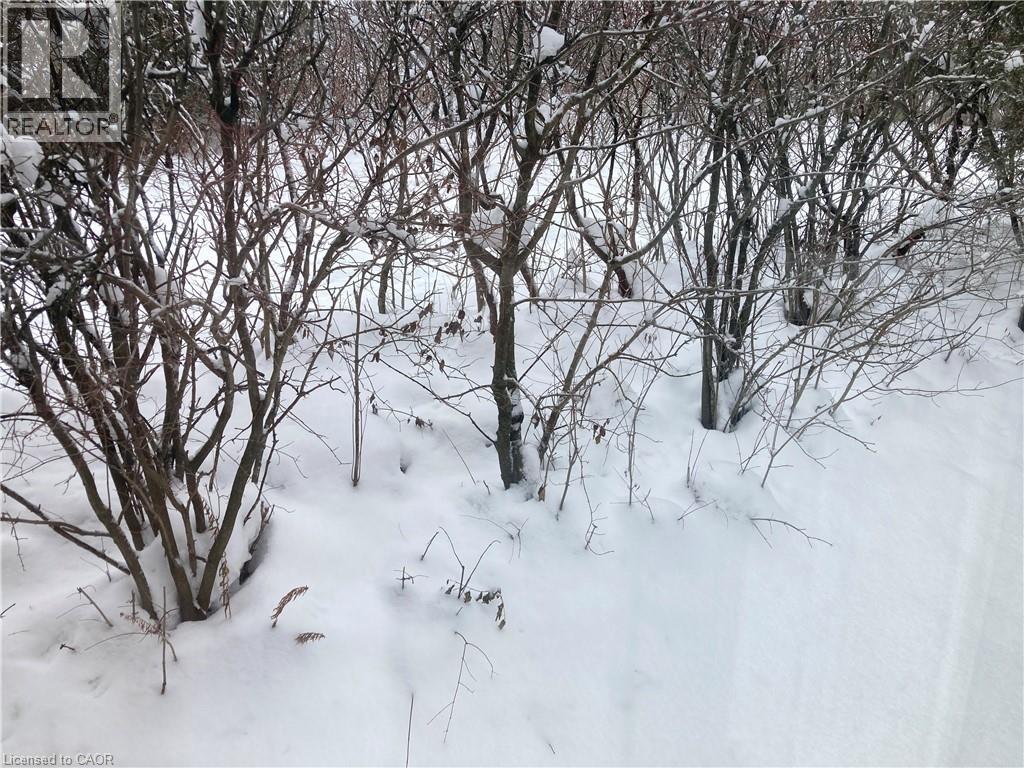 421 White Birch Avenue, Waterloo, Ontario  N2V 2T3 - Photo 35 - 40794086