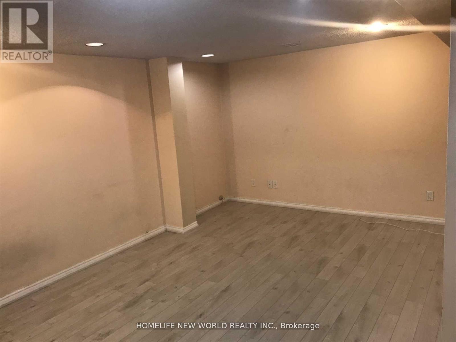 Basemt - 98 Nightstar Drive, Richmond Hill, Ontario  L4C 8H3 - Photo 5 - N12635466