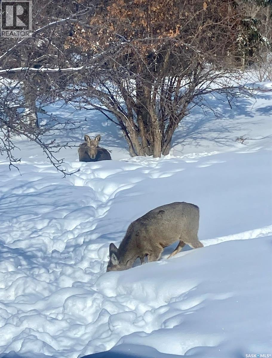 20 4th Avenue E, Neilburg, Saskatchewan  S0M 2C0 - Photo 36 - SK025441