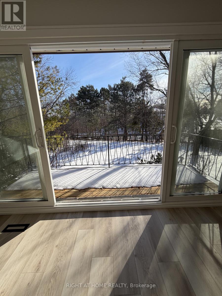 25 Mango Drive, Toronto, Ontario  M2K 2E9 - Photo 19 - C12635504