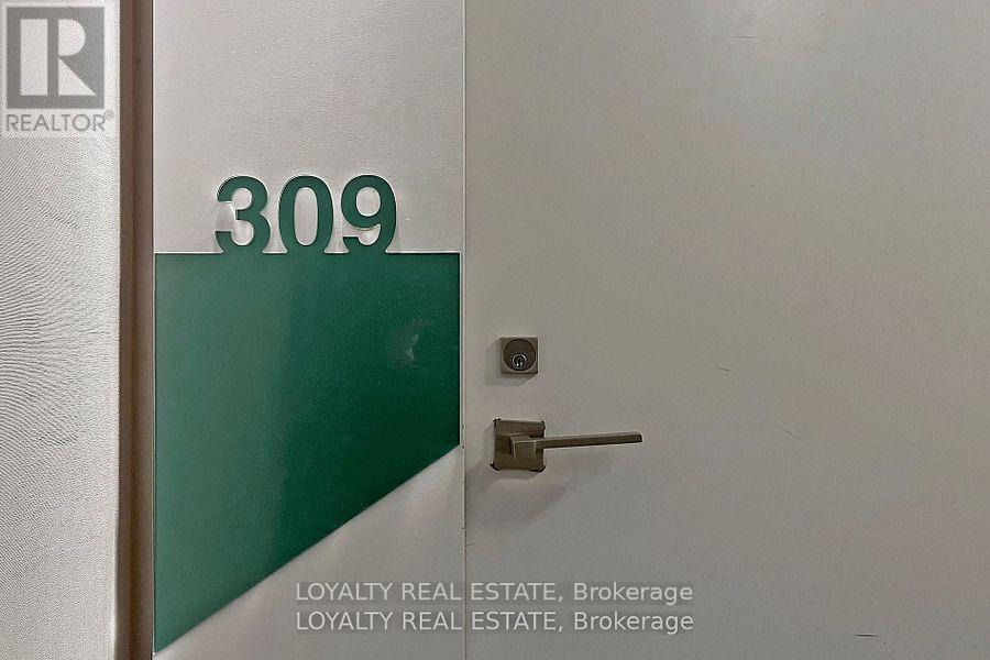 309 - 352 Front Street W, Toronto, Ontario  M5V 0K3 - Photo 24 - C12635508