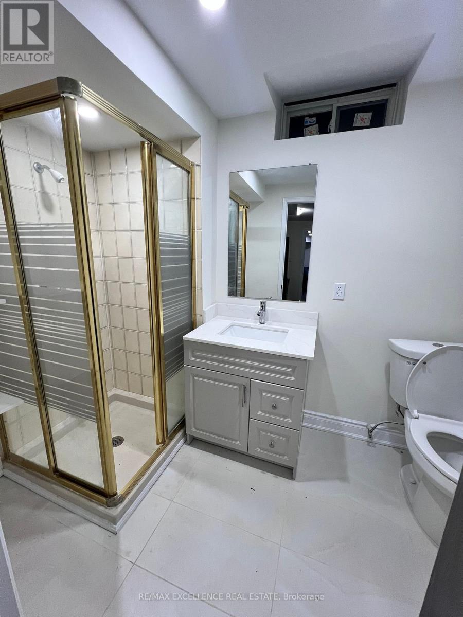 Basement - 24 Billingsley Court, Brampton (Fletcher's Creek South), Ontario  L6W 4M8 - Photo 4 - W12635484