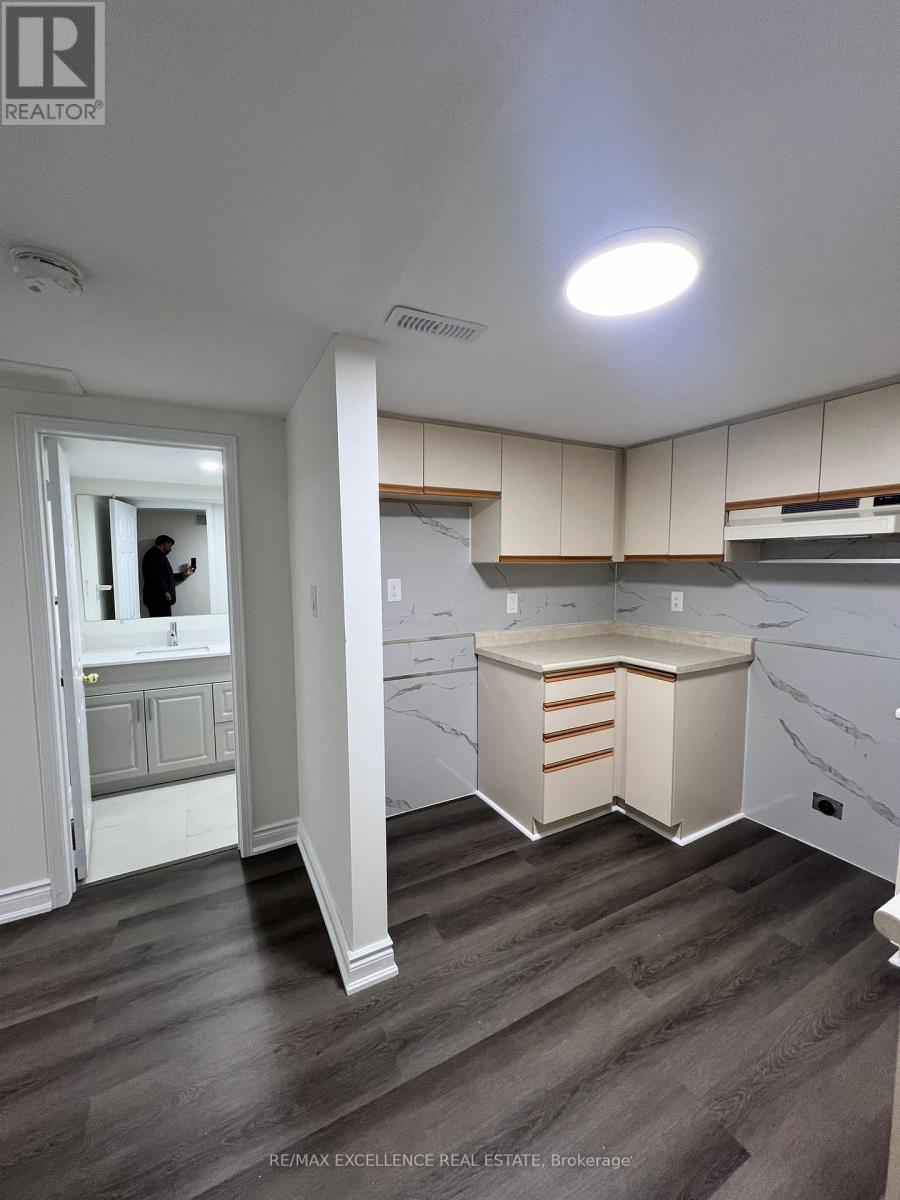 Basement - 24 Billingsley Court, Brampton (Fletcher's Creek South), Ontario  L6W 4M8 - Photo 7 - W12635484