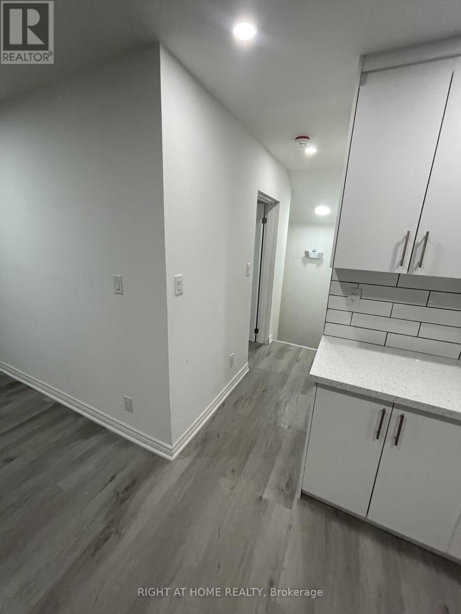 3 - 210 Chatham Street, Brantford, Ontario  N3S 4G8 - Photo 13 - X12635640