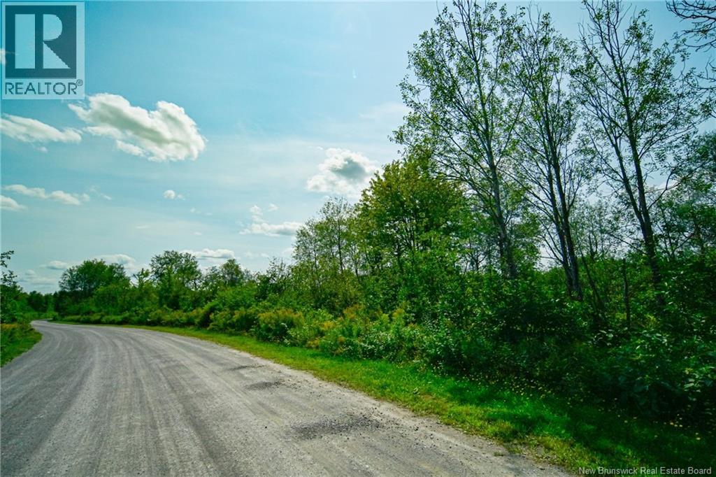 Lot 4 Cnr Road, Saint-Léonard, New Brunswick  E7E 1Z4 - Photo 2 - NB130566