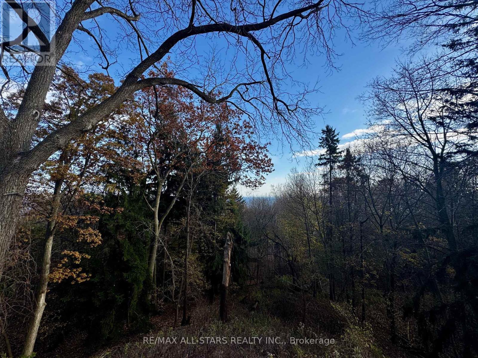 25 Hill Crescent, Toronto, Ontario  M1M 1H7 - Photo 24 - E12584126