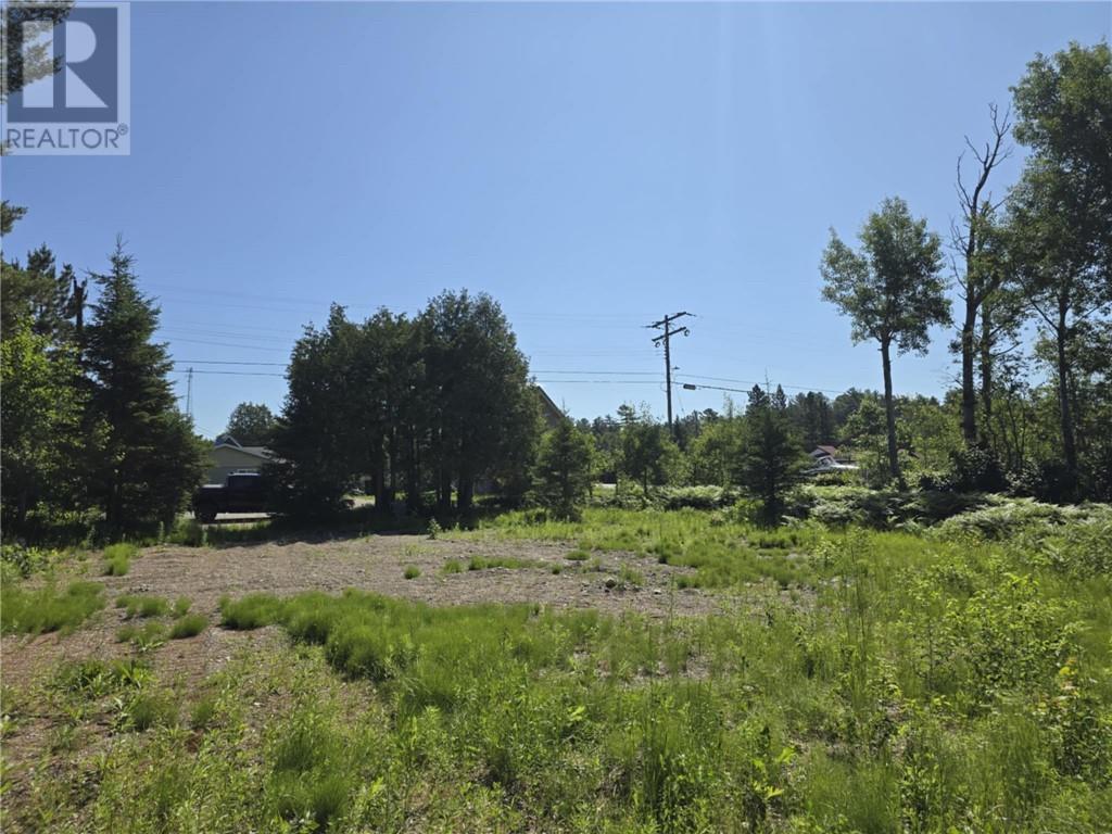 21 Smith Street, Nairn Centre, Ontario  P0M 2L0 - Photo 10 - 2125924