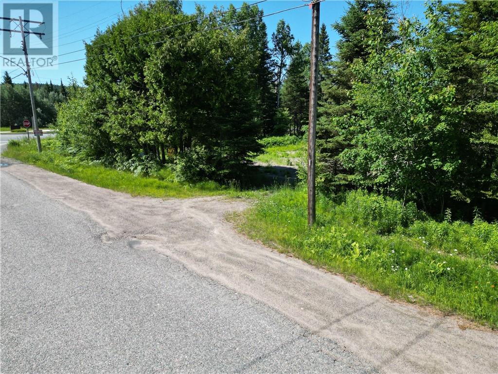 21 Smith Street, Nairn Centre, Ontario  P0M 2L0 - Photo 6 - 2125924