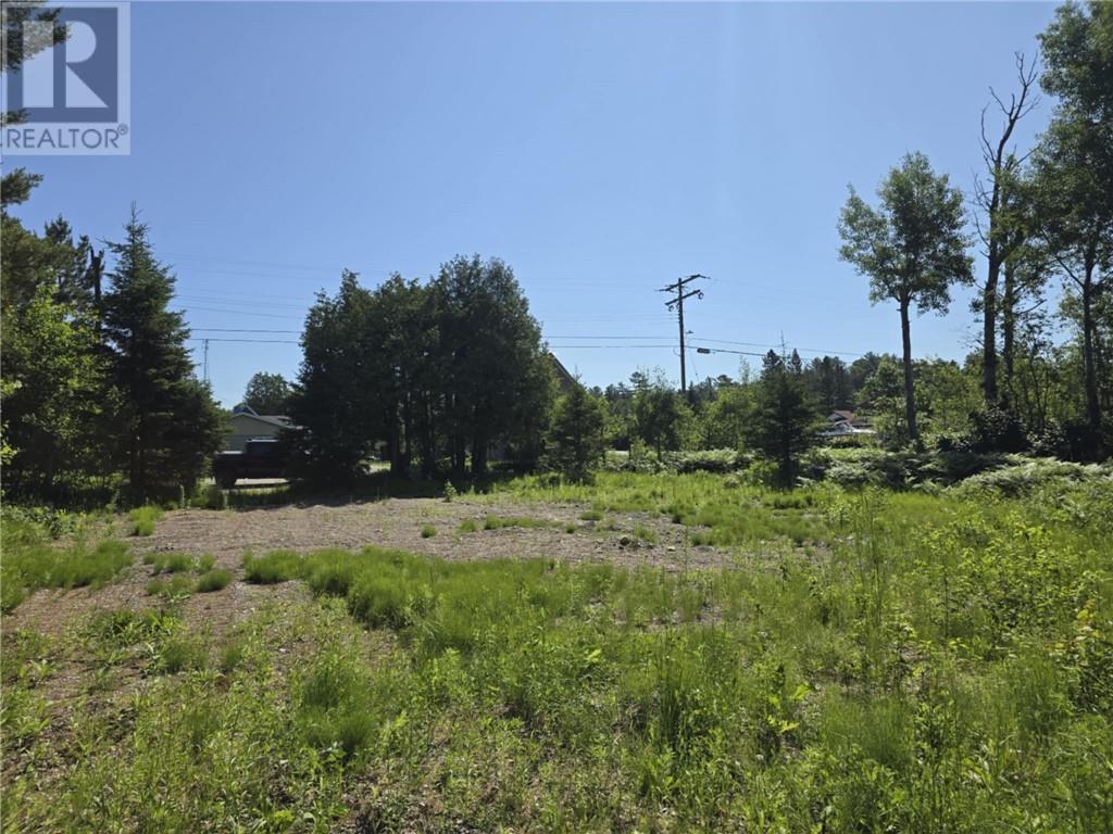 21 Smith Street, Nairn Centre, Ontario  P0M 2L0 - Photo 8 - 2125924