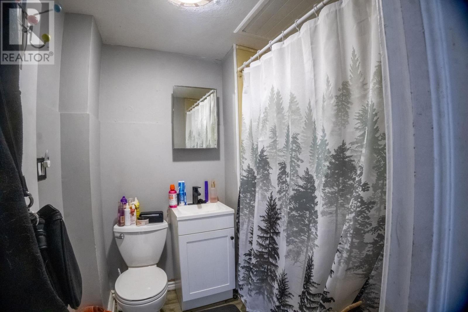 159 Hudson St, Sault Ste. Marie, Ontario P6A 1T3 - Photo 27 - SM252771