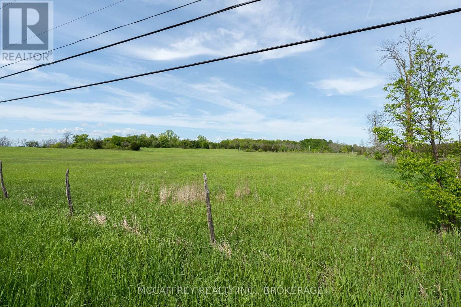0 Bridge Street W, Greater Napanee, Ontario  K7R 3L1 - Photo 13 - X12635730