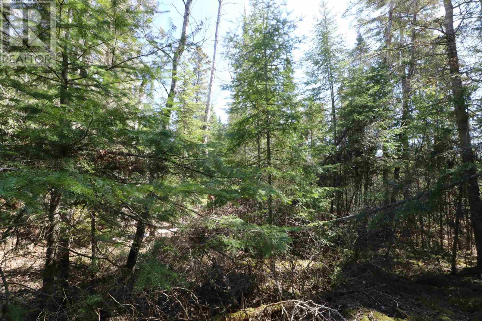 Lot 152 Plan M222, Minaki, Ontario  P0X 1J0 - Photo 16 - TB250065