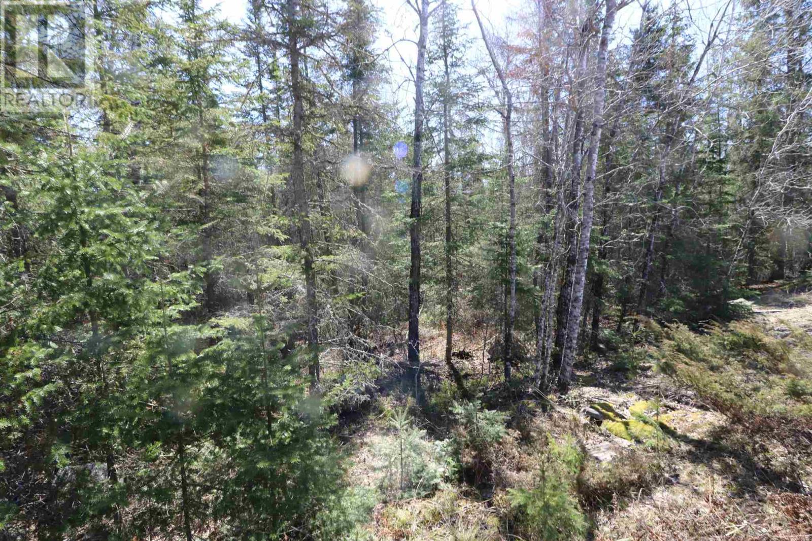 Lot 152 Plan M222, Minaki, Ontario  P0X 1J0 - Photo 23 - TB250065