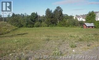 295 Connell Street, Woodstock, New Brunswick E7M 1L3 - Photo 1 - NB131314