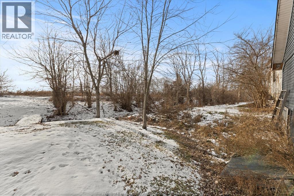 11681 County Rd 34, Tecumseh, Ontario N0R 1K0 - Photo 21 - 25031720