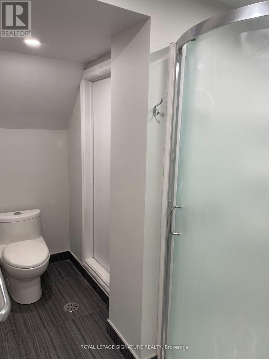 Lower - 308 St George Street, Toronto, Ontario  M5R 2P5 - Photo 6 - C12636134