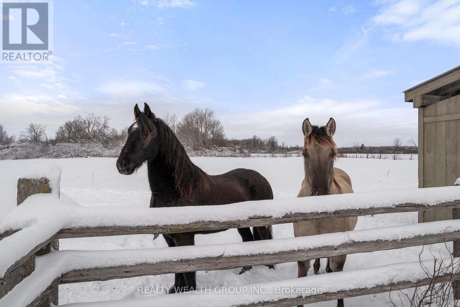 1201 Salem Road, Kawartha Lakes, Ontario  K0M 2C0 - Photo 6 - X12635970