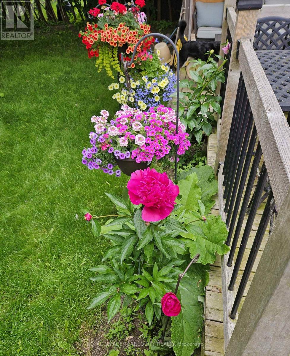 527 Carmello Court, Pickering, Ontario  L1W 2Z4 - Photo 13 - E12635998