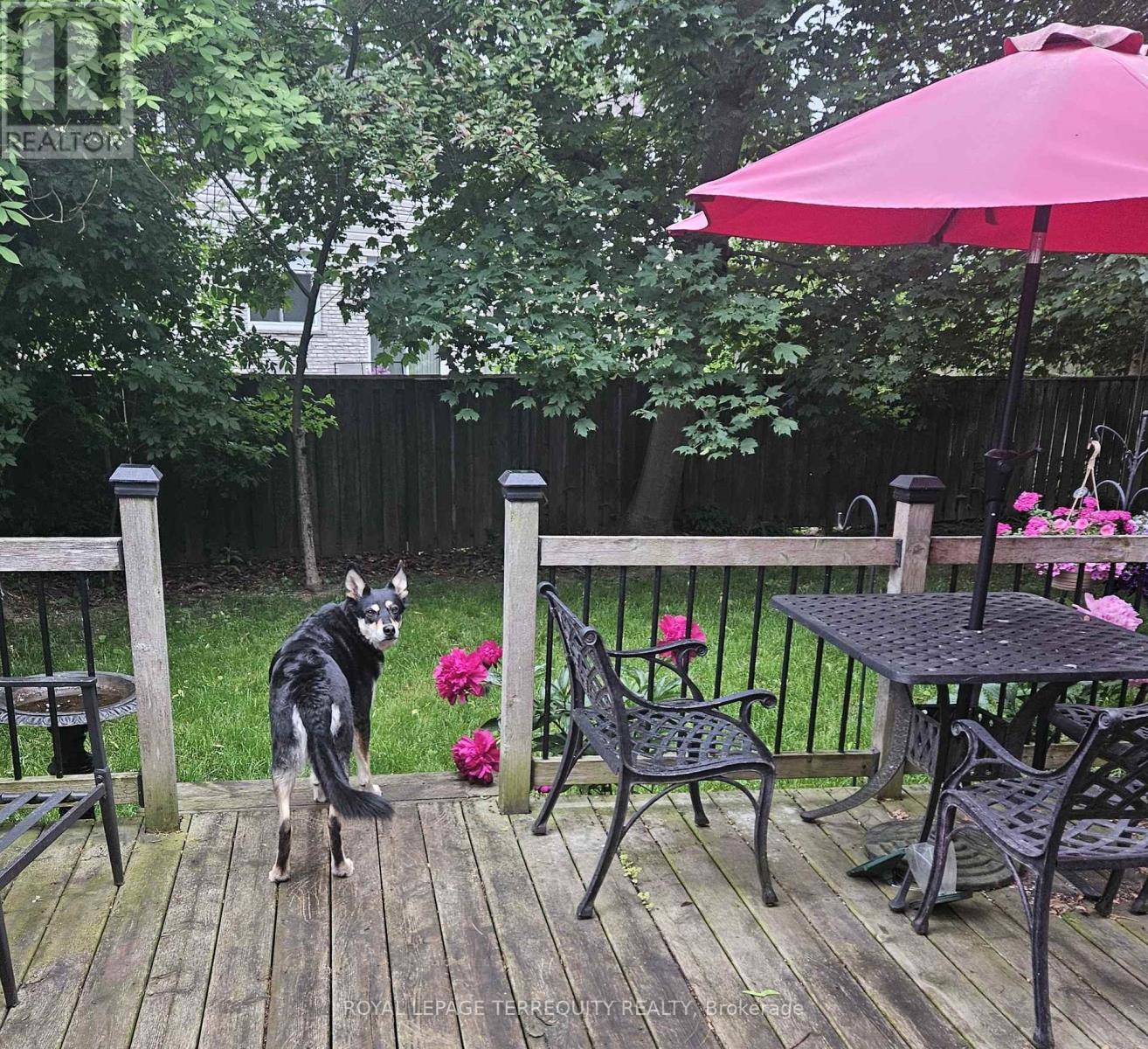 527 Carmello Court, Pickering, Ontario  L1W 2Z4 - Photo 10 - E12635998