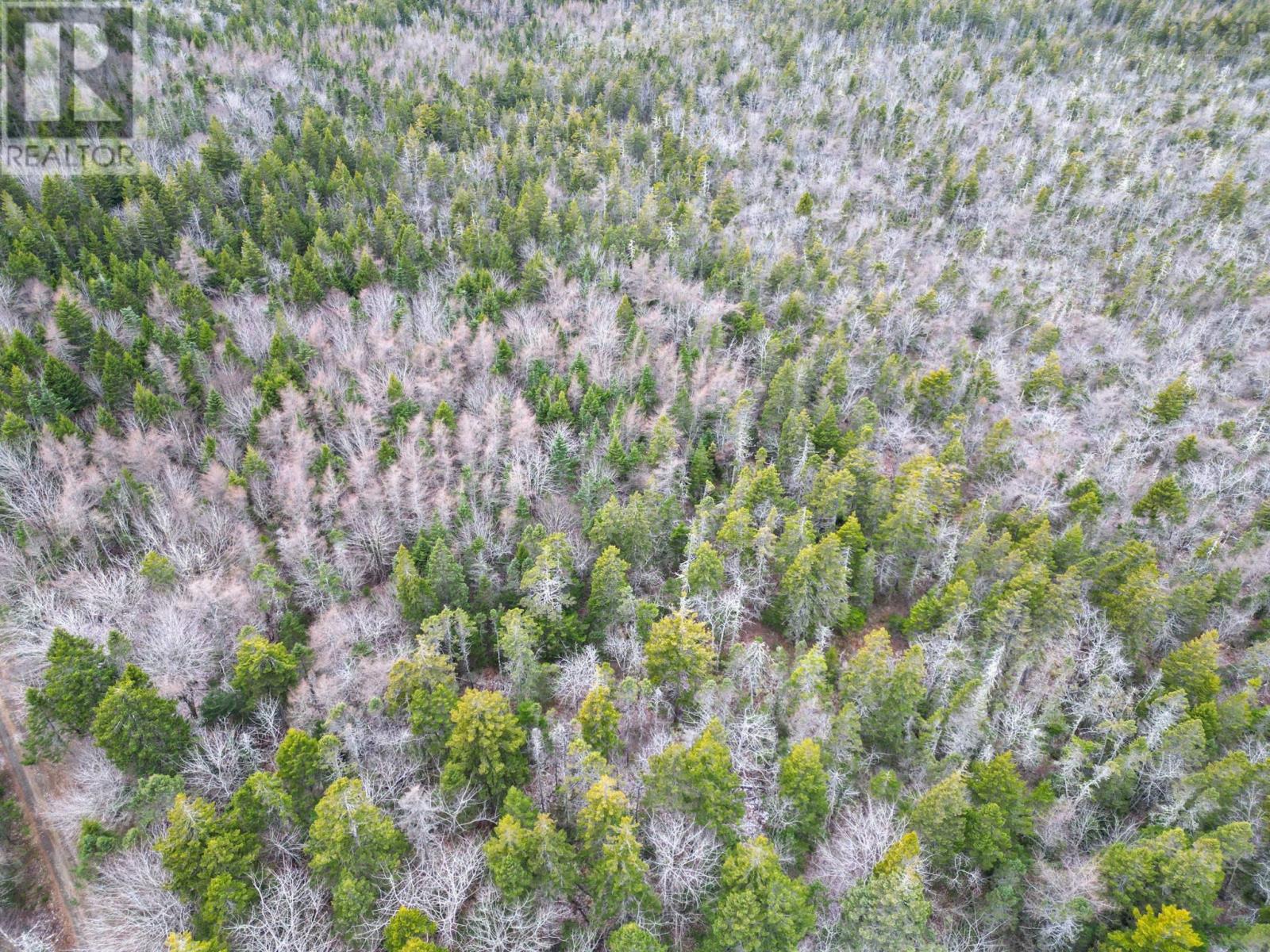 Lot Highway 101, St. Alphonse, Nova Scotia  B0W 2J0 - Photo 3 - 202529490