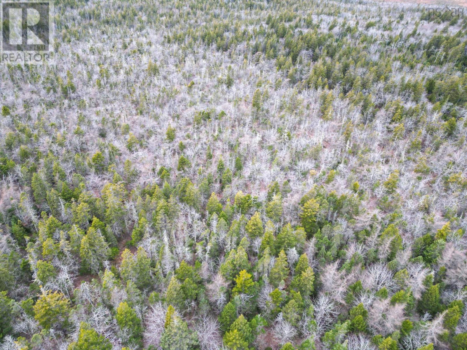 Lot Highway 101, St. Alphonse, Nova Scotia  B0W 2J0 - Photo 6 - 202529490