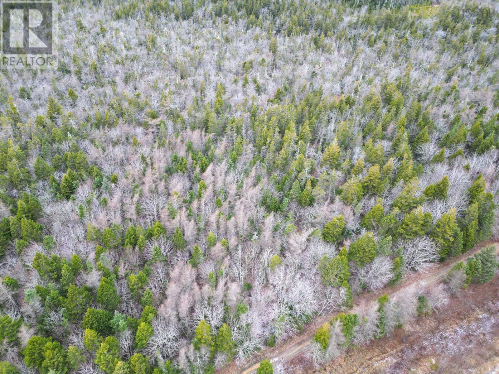 Lot Highway 101, St. Alphonse, Nova Scotia  B0W 2J0 - Photo 7 - 202529490