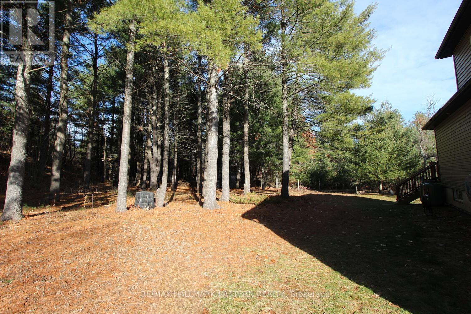 20 Blairton Tent & Trailer Park Road, Havelock-Belmont-Methuen, Ontario K0L 1Z0 - Photo 36 - X12579272