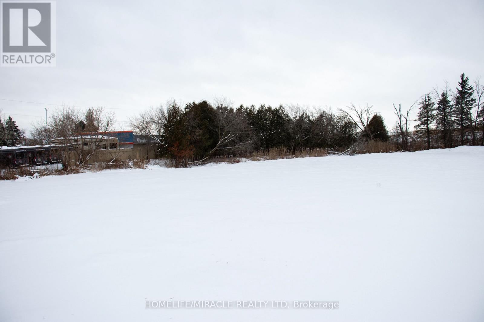 14182 Highway 50, Caledon, Ontario L7E 3E2 - Photo 2 - W12636450