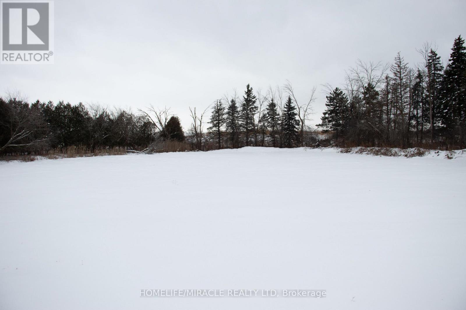 14182 Highway 50, Caledon, Ontario L7E 3E2 - Photo 3 - W12636450