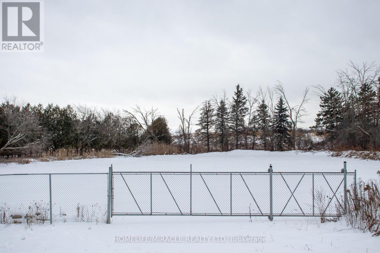 14182 Highway 50, Caledon, Ontario L7E 3E2 - Photo 4 - W12636450