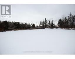 14182 HIGHWAY 50, Caledon, Ontario