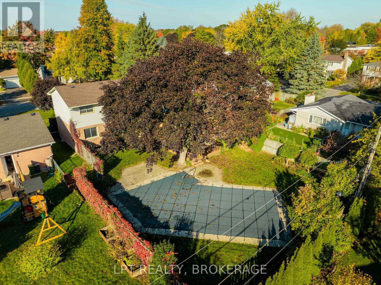 168 Braemar Road, Kingston, Ontario  K7M 4B8 - Photo 4 - X12636518