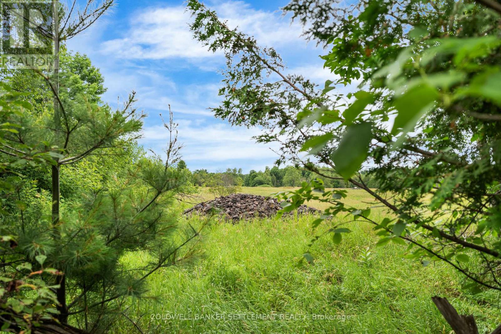 Pt 1 Herron Mills Road, Lanark Highlands, Ontario  K0G 1K0 - Photo 12 - X12636502