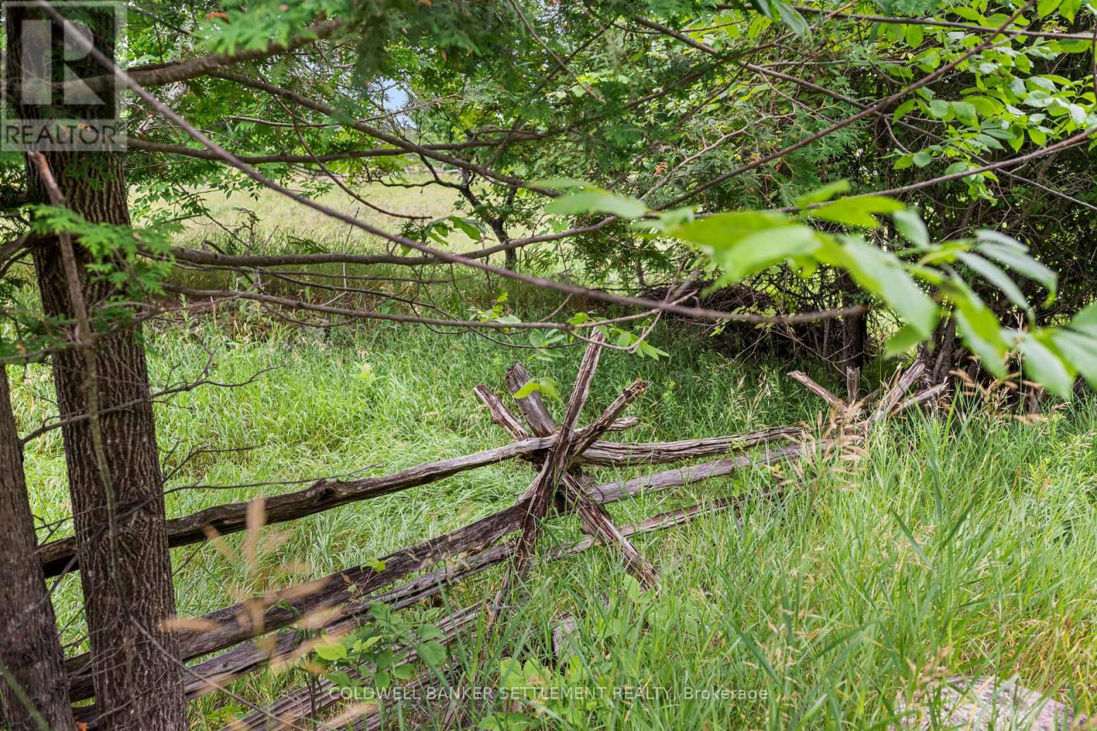Pt 1 Herron Mills Road, Lanark Highlands, Ontario  K0G 1K0 - Photo 13 - X12636502