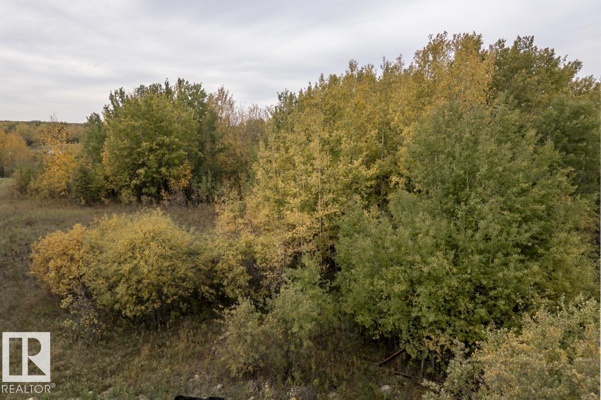 #60 50106 Range Road 200, Rural Beaver County, Alberta T0B 4J2 - Photo 55 - E4460423