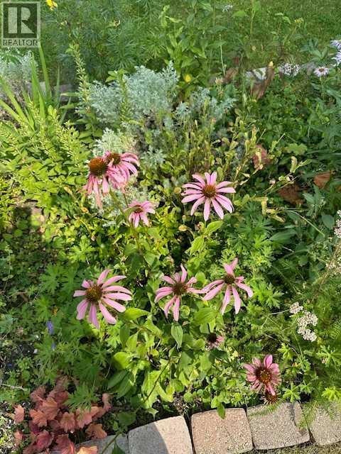 4736 Worcester Drive Sw, Calgary, Alberta  T3C 3L6 - Photo 32 - A2264201