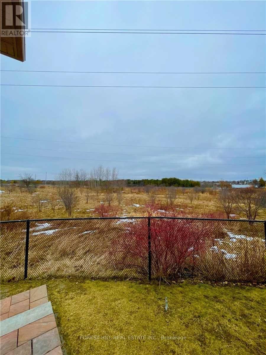 Lower - 432 Sydor Court, Newmarket, Ontario  L3X 2Y6 - Photo 22 - N12636534