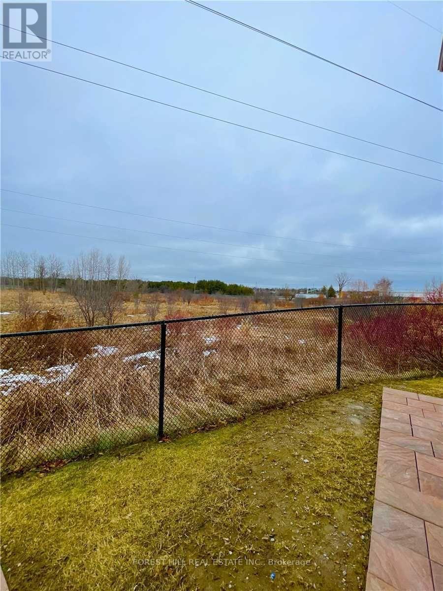 Lower - 432 Sydor Court, Newmarket, Ontario  L3X 2Y6 - Photo 23 - N12636534