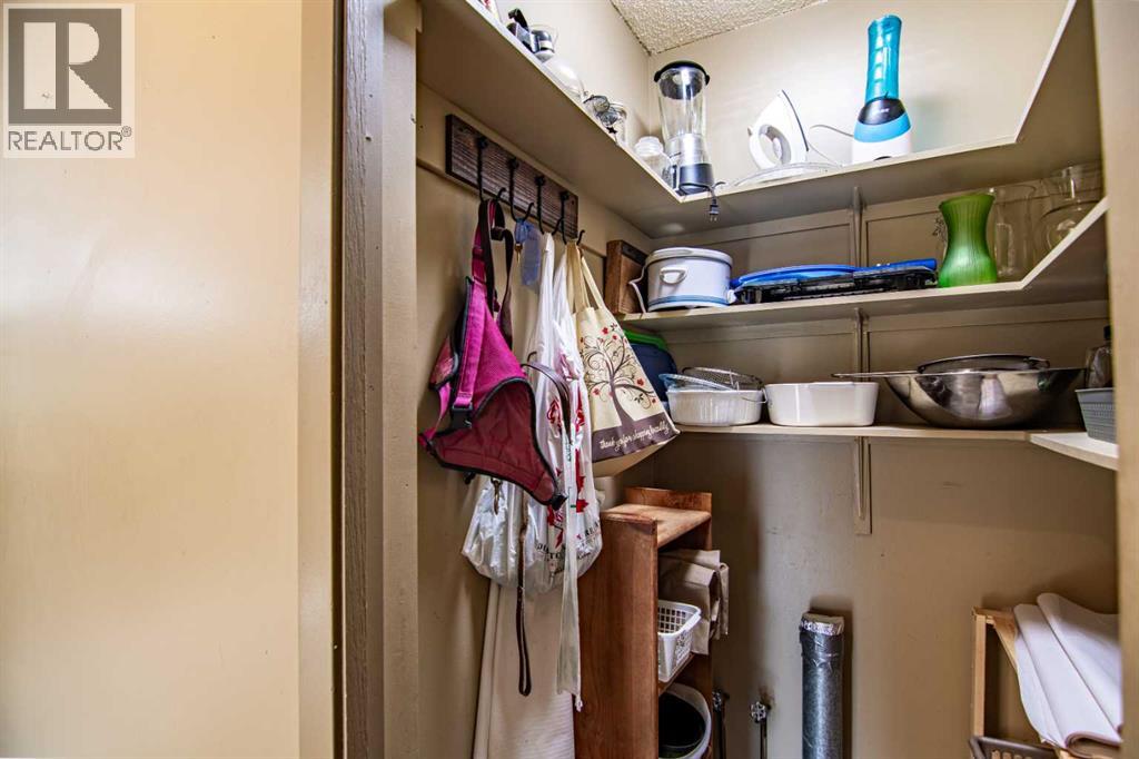 31 Bettenson Street, Red Deer, Alberta T4R 1J5 - Photo 15 - A2257139