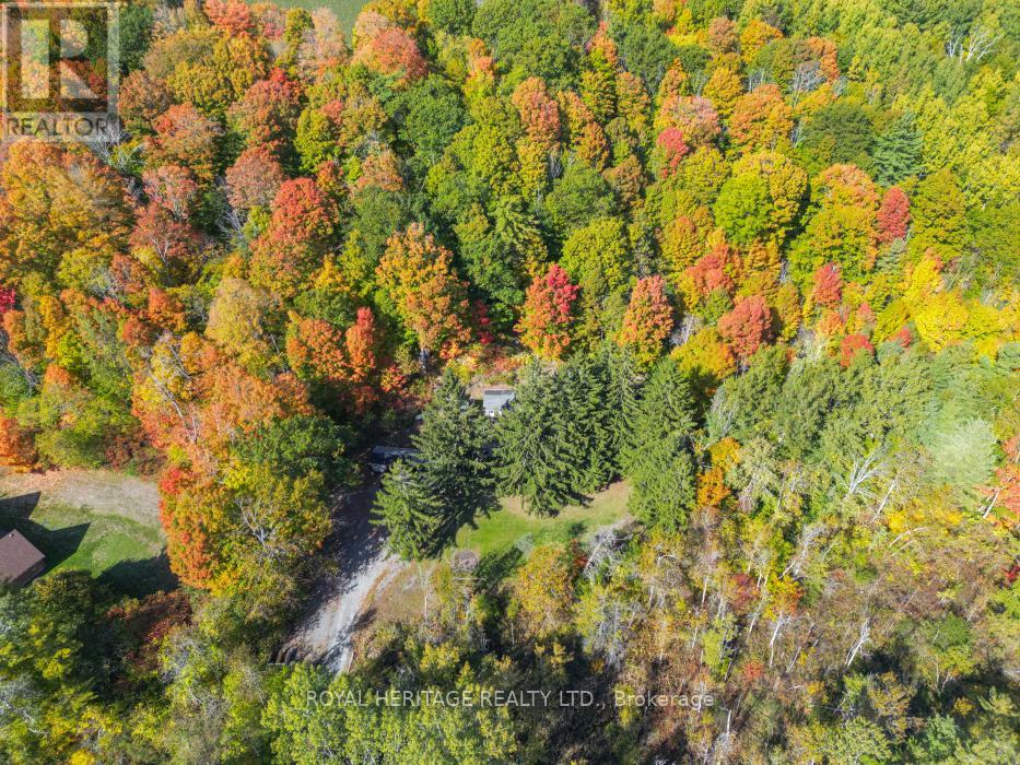 15354 County Road 2 Road, Brighton, Ontario  K0K 1H0 - Photo 35 - X12518546