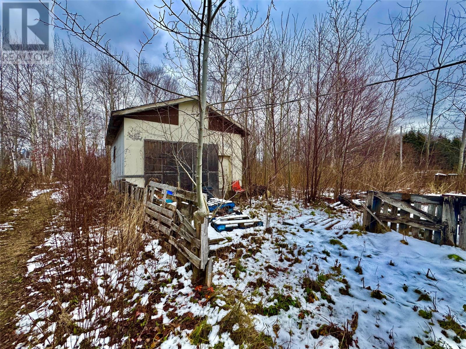 22 Lincoln Road, Grand Falls-Windsor, Newfoundland & Labrador  A1A 1M8 - Photo 3 - 1293315
