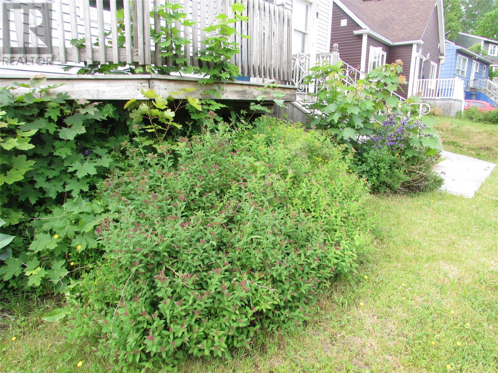 79 East Valley Road, Corner Brook, Newfoundland & Labrador  A2H 2L4 - Photo 33 - 1293311