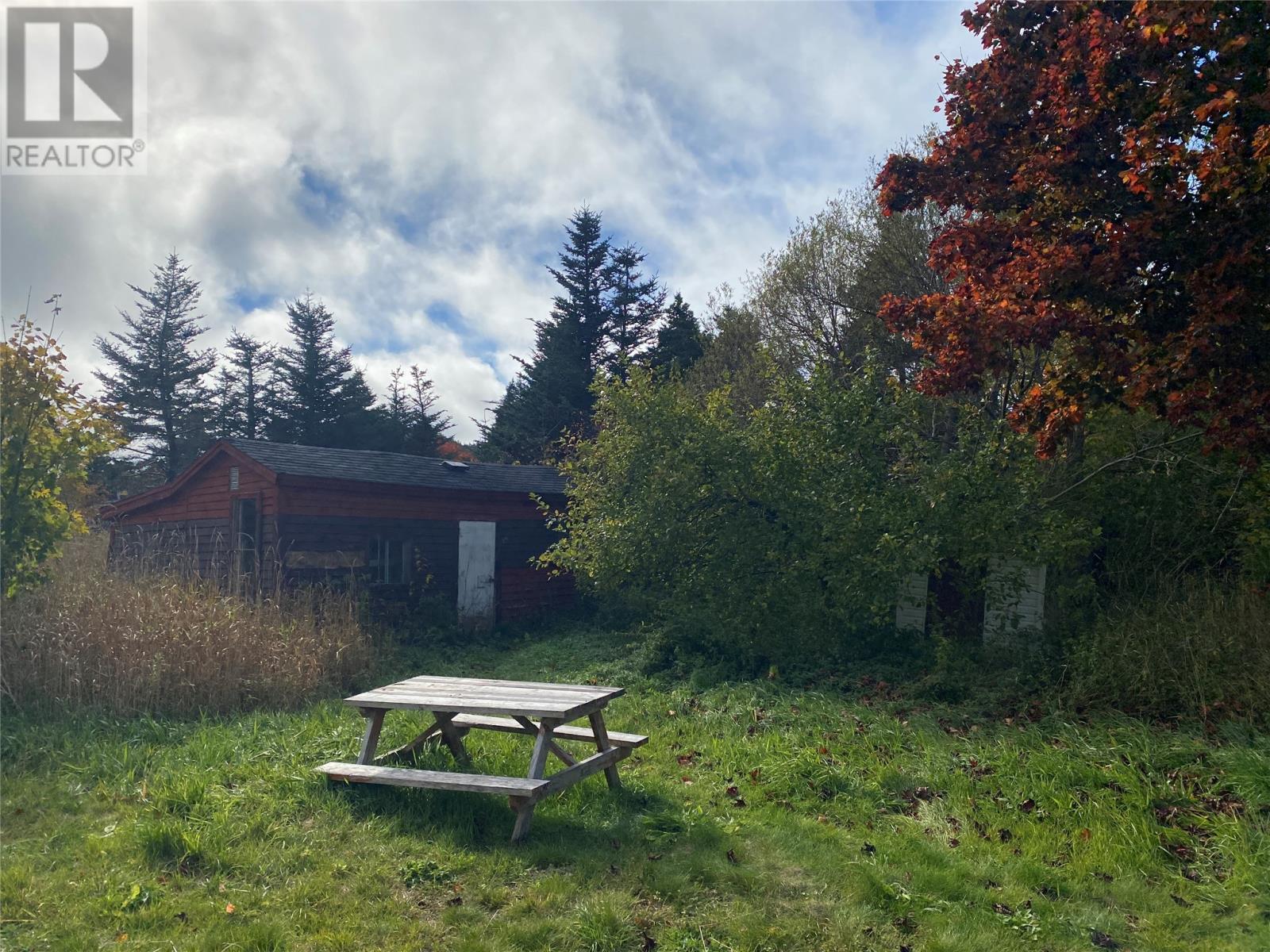 129 Roaches Line Road, Roaches Line, Newfoundland & Labrador  A0A 1W0 - Photo 35 - 1293280