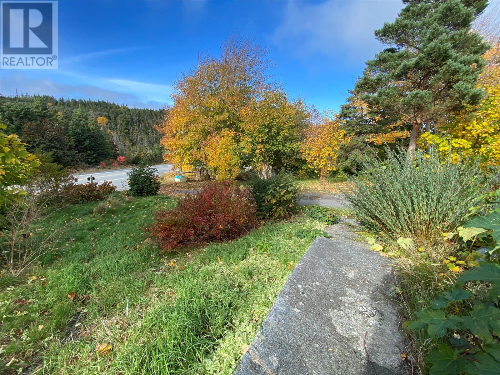 129 Roaches Line Road, Roaches Line, Newfoundland & Labrador  A0A 1W0 - Photo 47 - 1293280