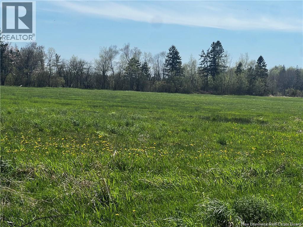 Lot 25-2 Old Mill Road, Shediac Bridge, New Brunswick  E4P 3C4 - Photo 2 - NB131325