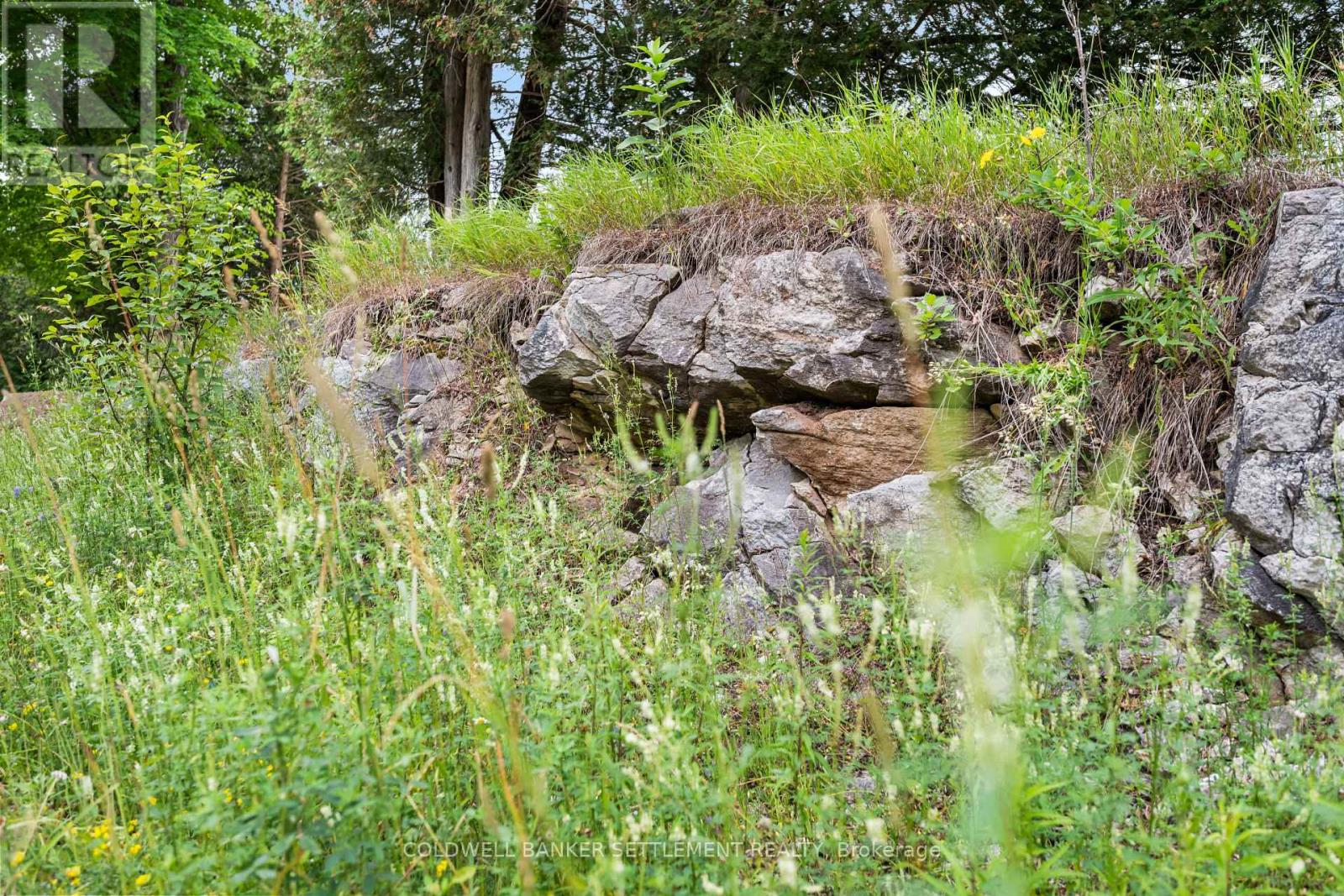 Pt 3 Mitchell Road, Lanark Highlands, Ontario  K0G 1K0 - Photo 9 - X12636840